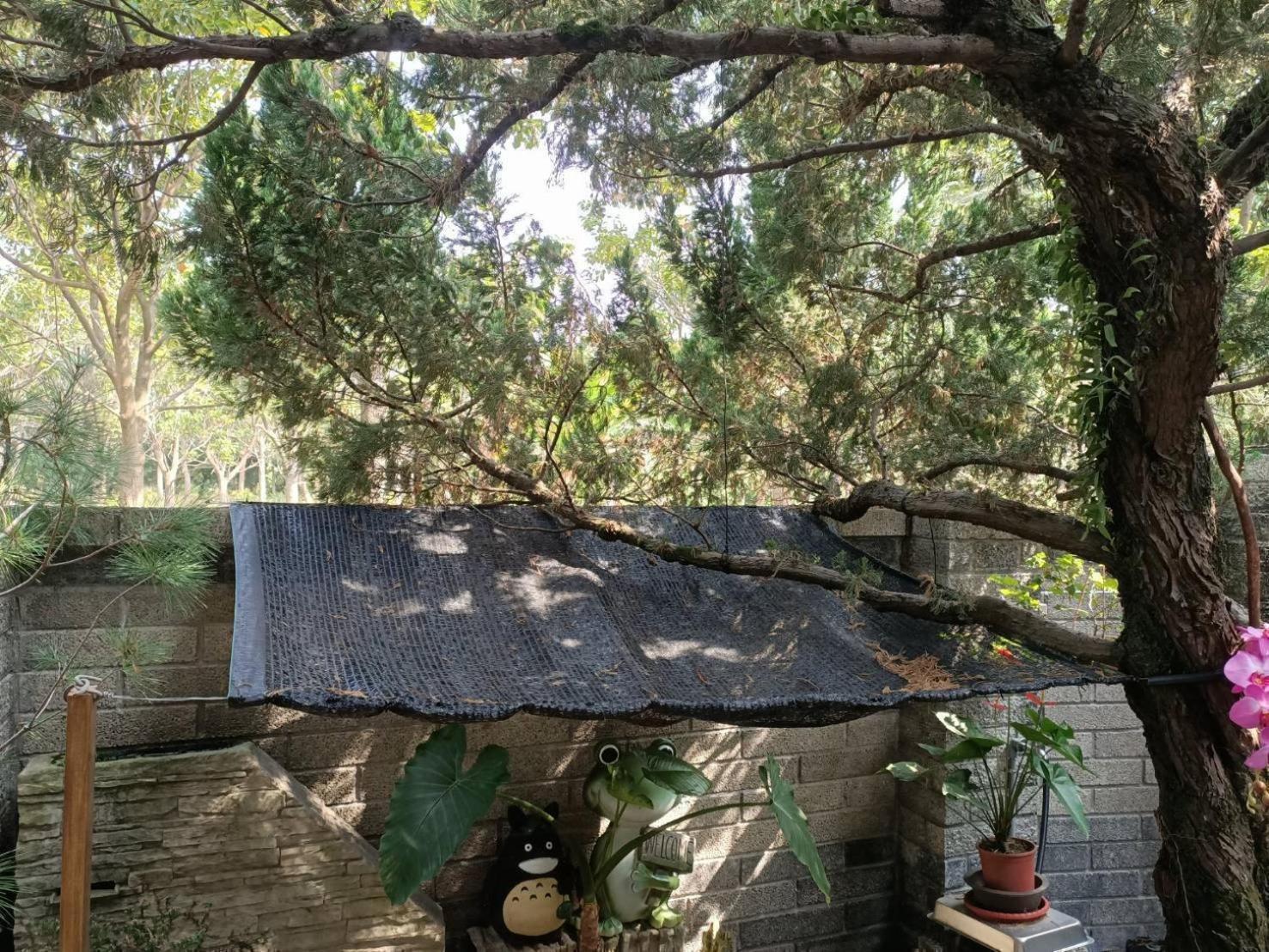 Jinge Guest House Jiji Exterior foto